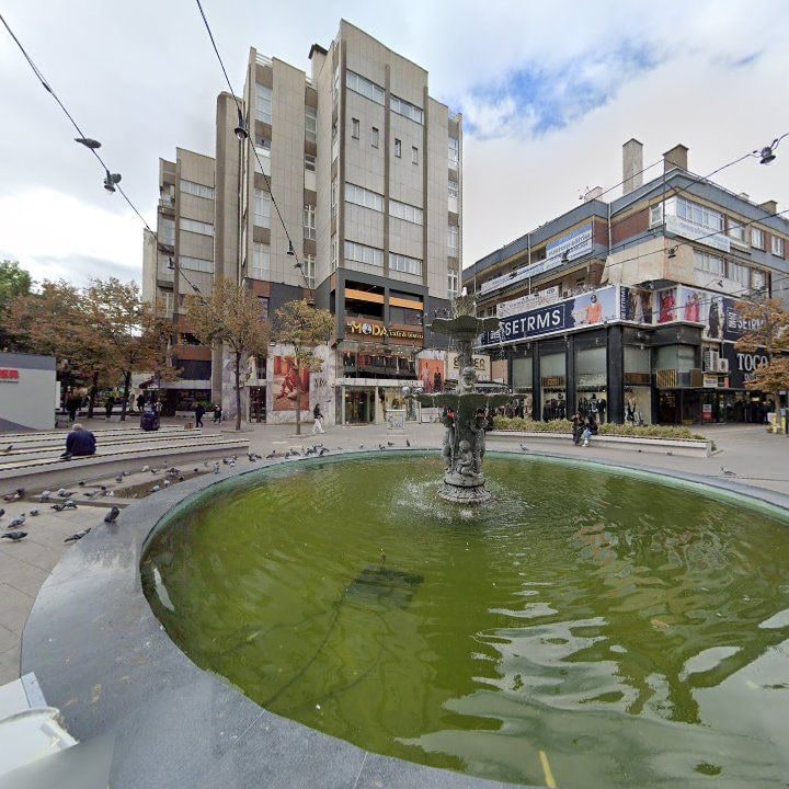 Fotoğraf 12