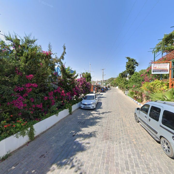 Fotoğraf 10