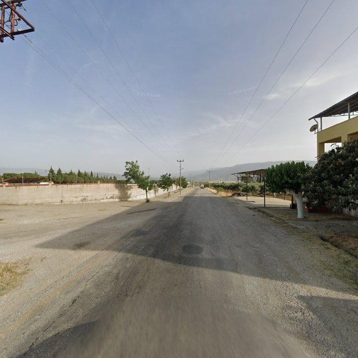 Fotoğraf 5