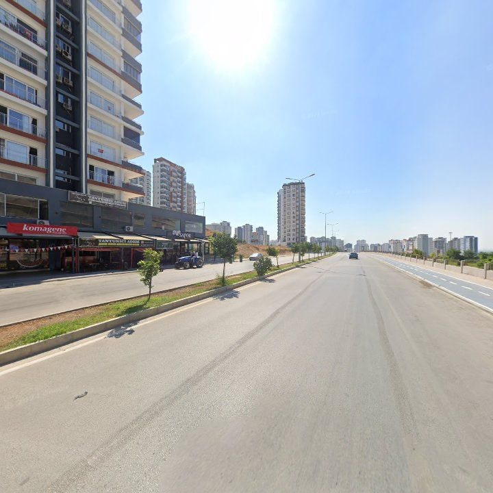 Fotoğraf 10