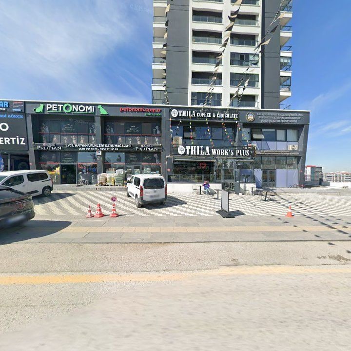 Fotoğraf 6