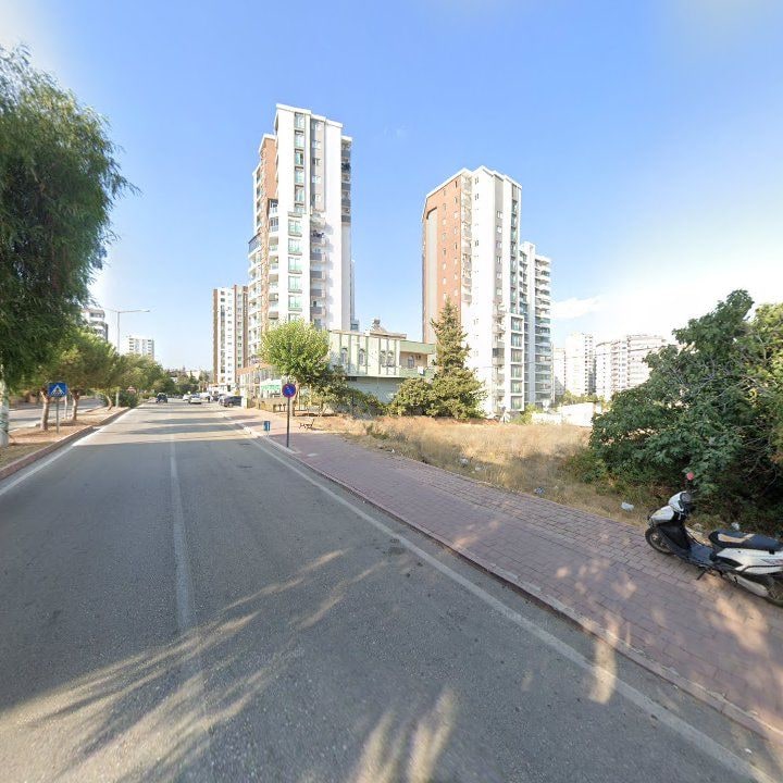 Fotoğraf 10