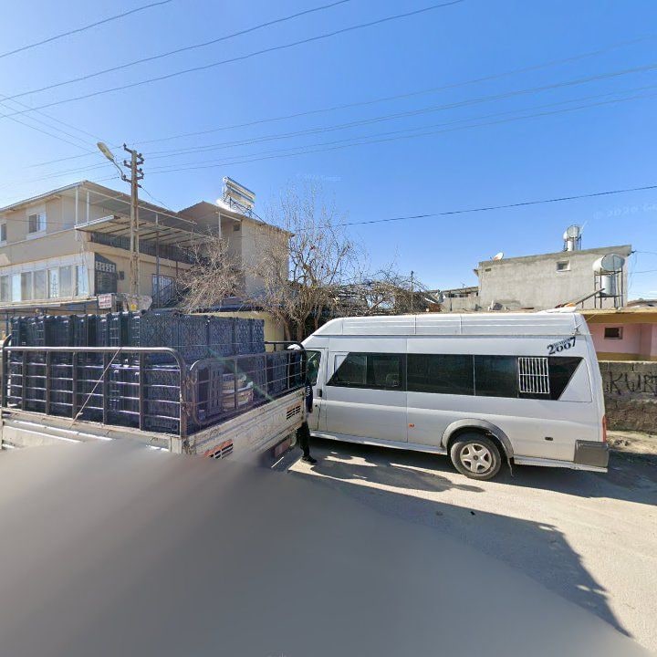 Fotoğraf 6