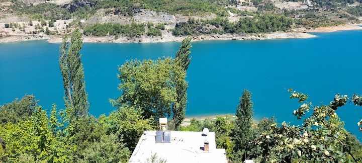 Fotoğraf 8