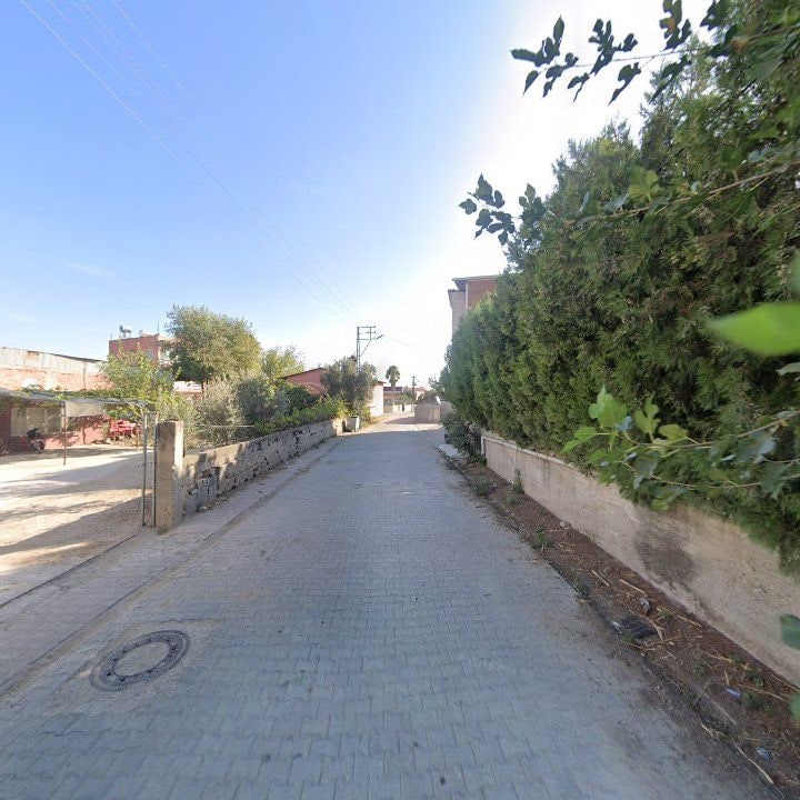Fotoğraf 6