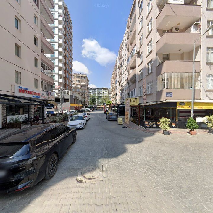 Fotoğraf 8