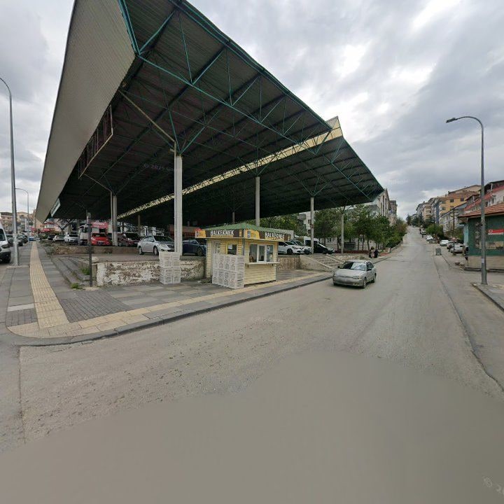 Fotoğraf 3