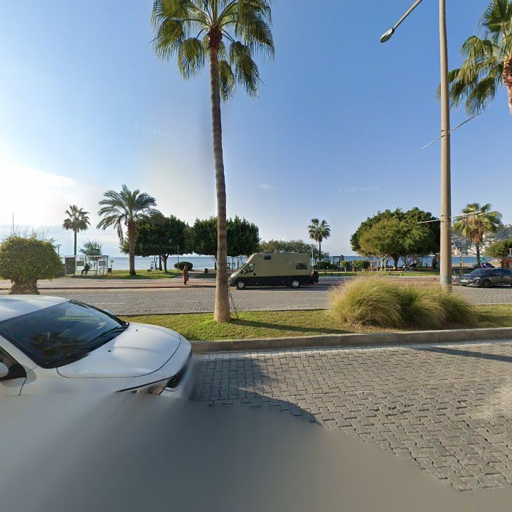 Fotoğraf 11