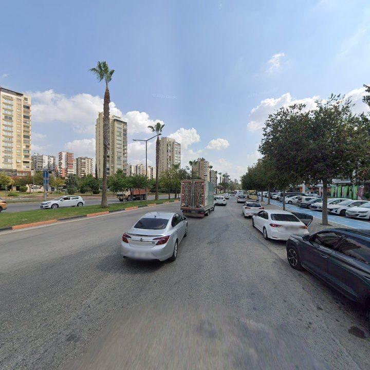 Fotoğraf 10