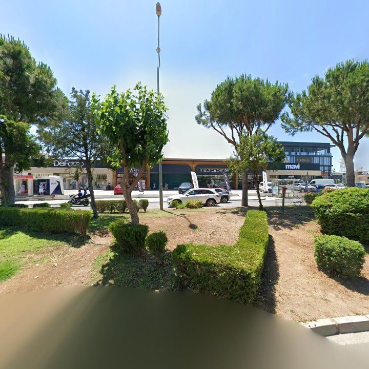 Fotoğraf 12