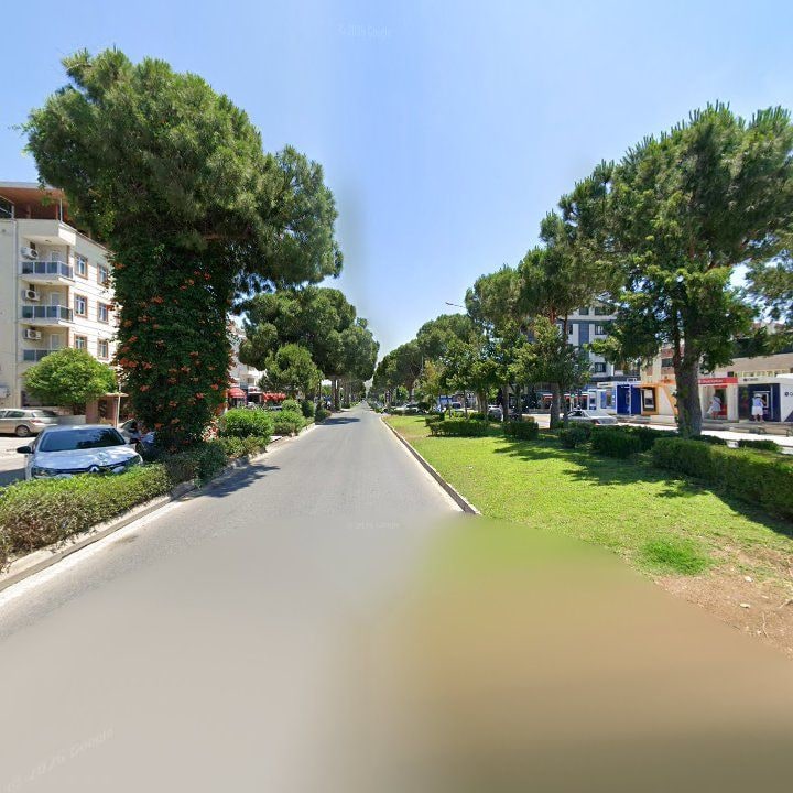 Fotoğraf 11
