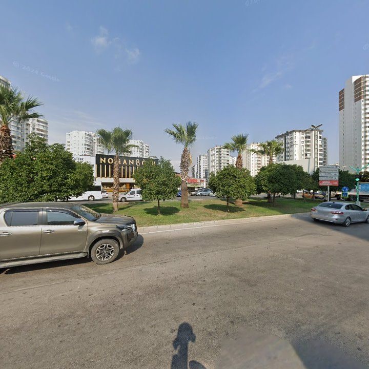 Fotoğraf 7
