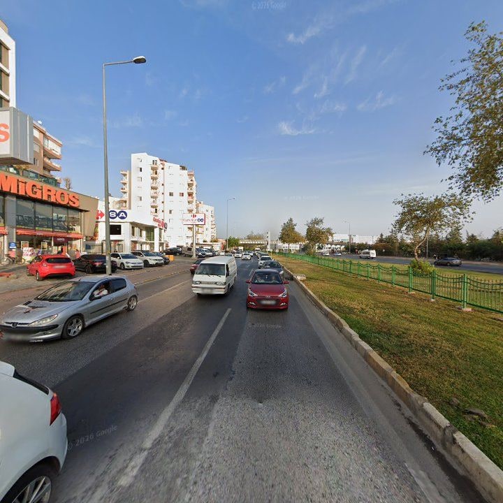 Fotoğraf 8