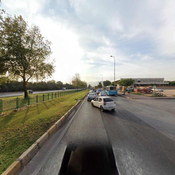 Fotoğraf 10