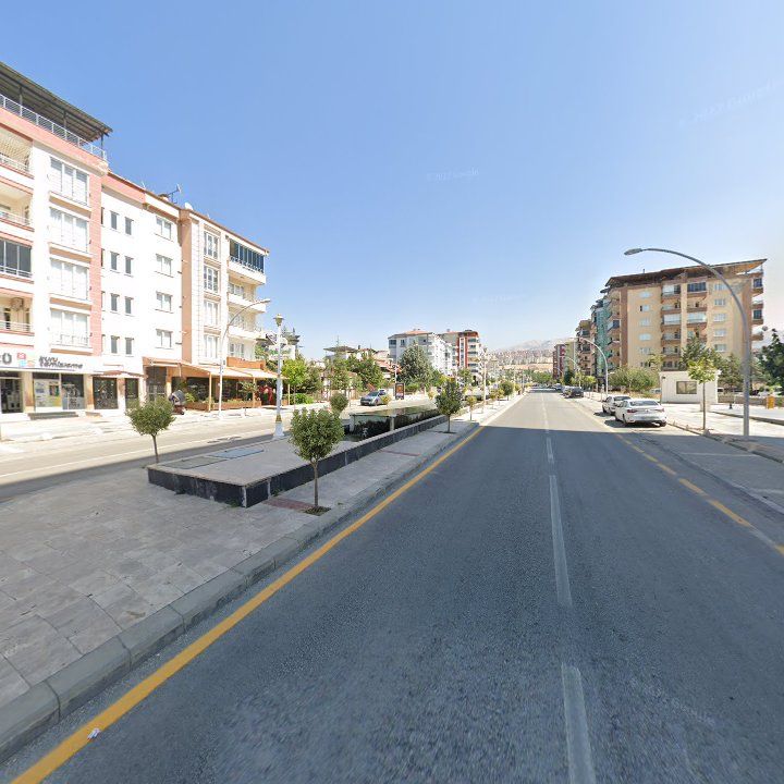 Fotoğraf 12