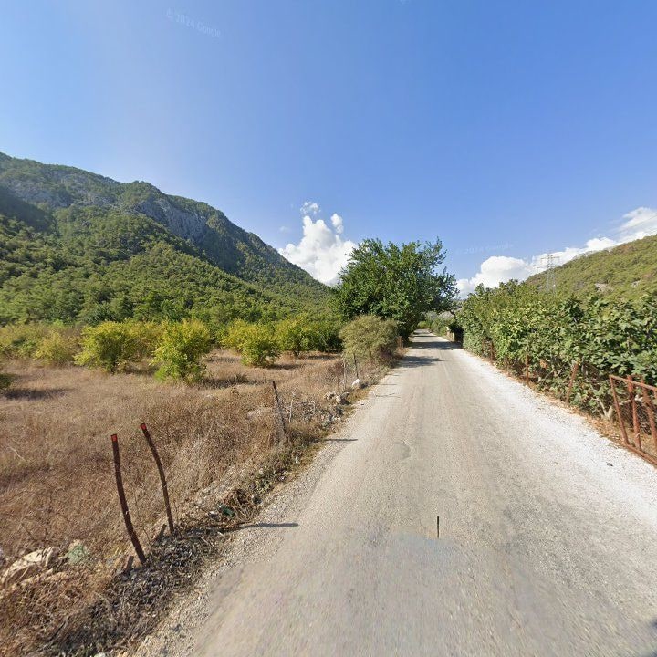 Fotoğraf 10