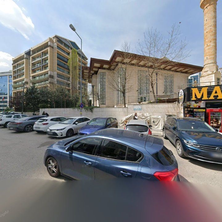 Fotoğraf 12