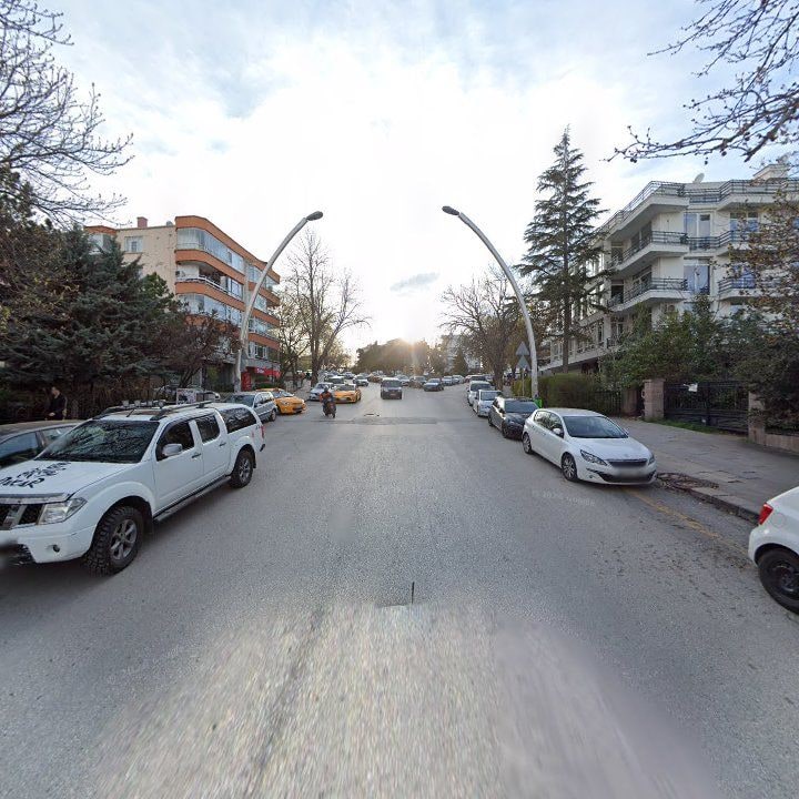 Fotoğraf 12