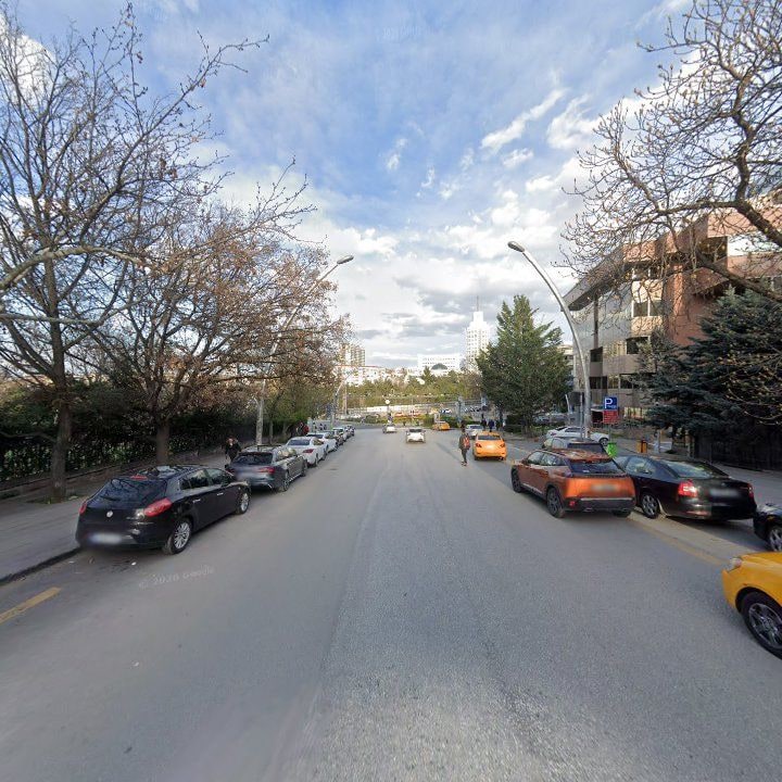 Fotoğraf 14