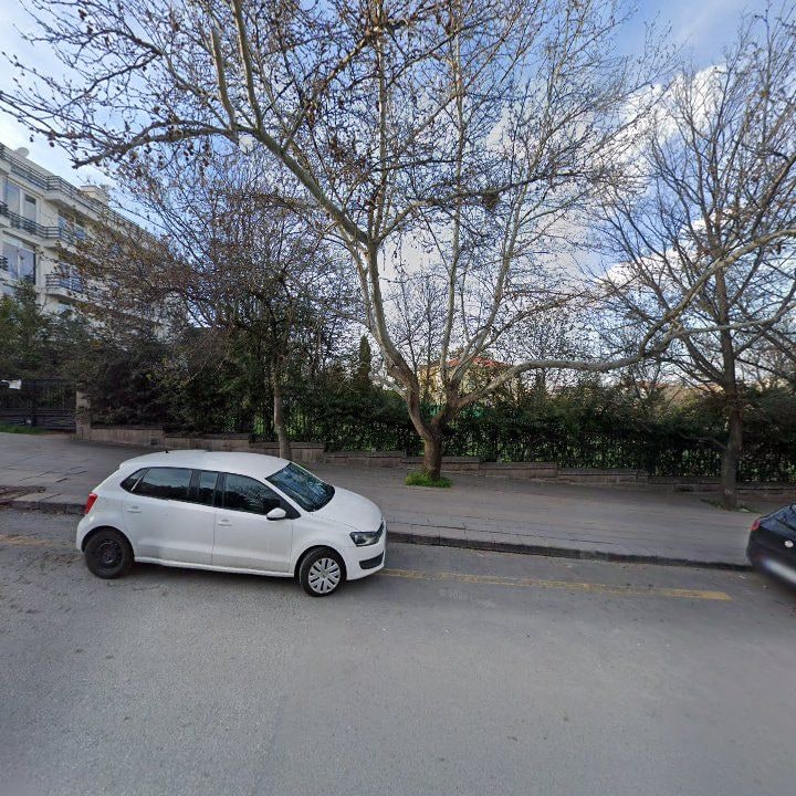 Fotoğraf 13