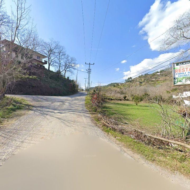 Fotoğraf 11