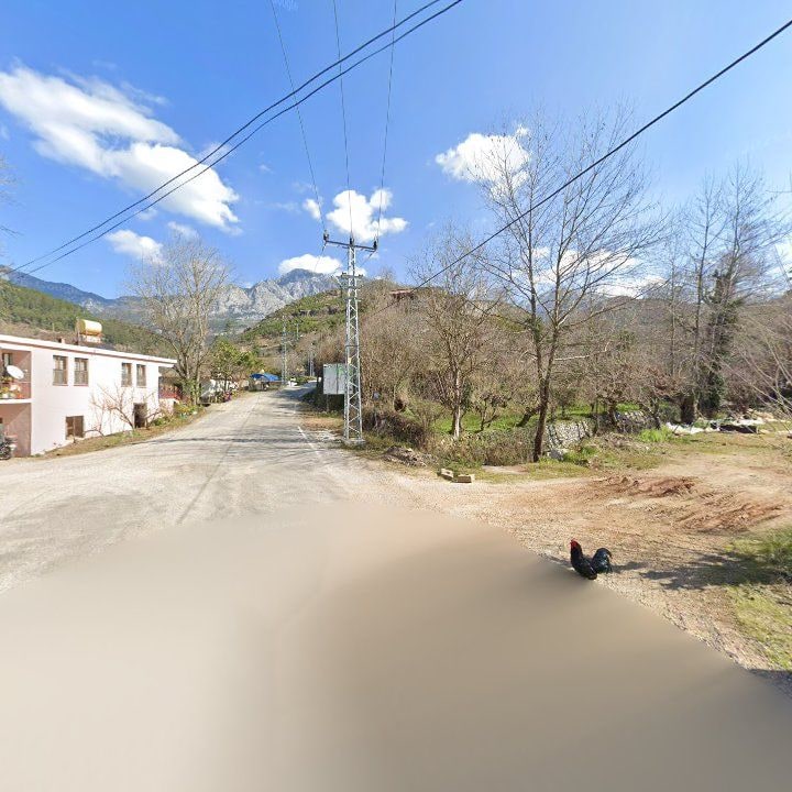 Fotoğraf 9