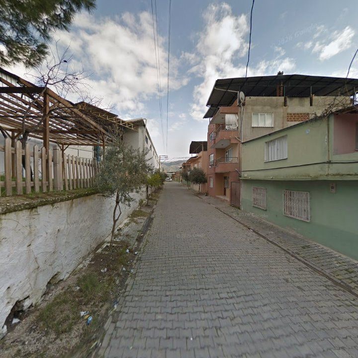 Fotoğraf 9