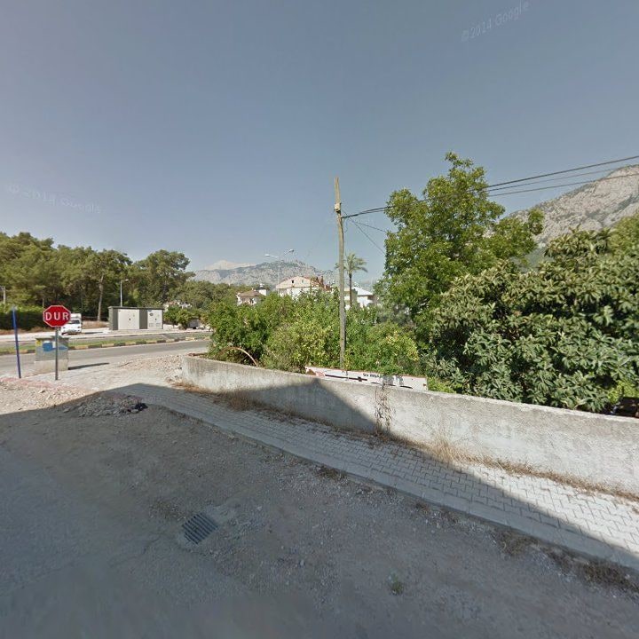 Fotoğraf 7