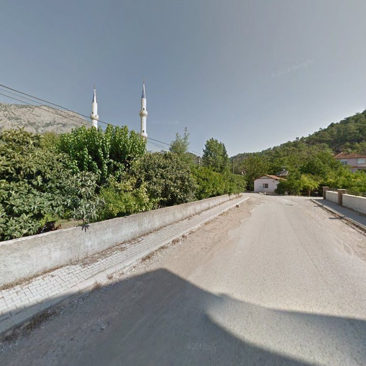 Fotoğraf 8