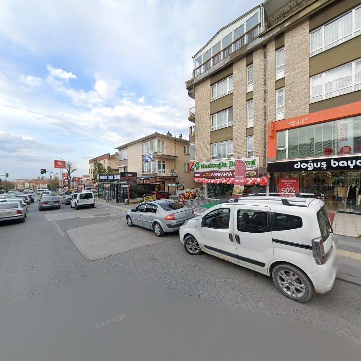 Fotoğraf 8