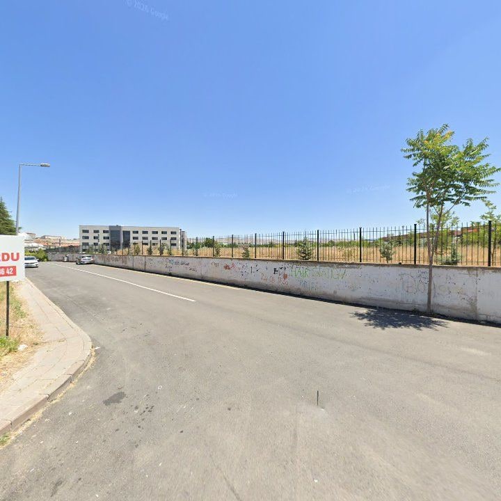 Fotoğraf 6