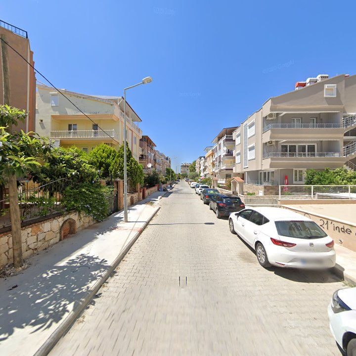 Fotoğraf 7