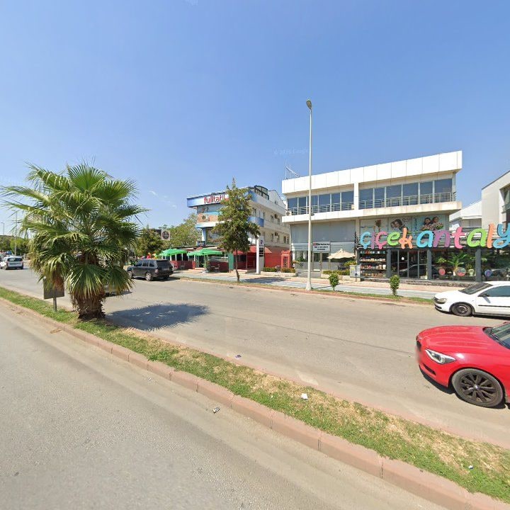 Fotoğraf 8