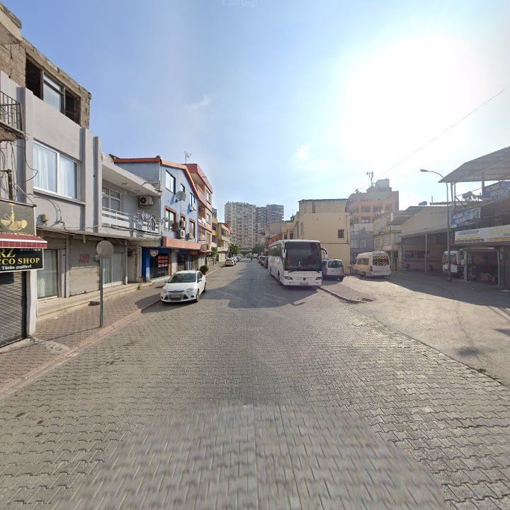 Fotoğraf 10