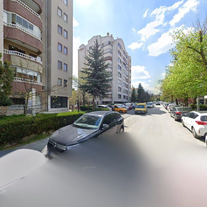 Fotoğraf 11