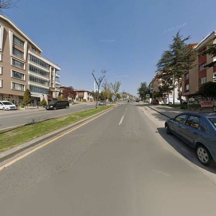 Fotoğraf 10