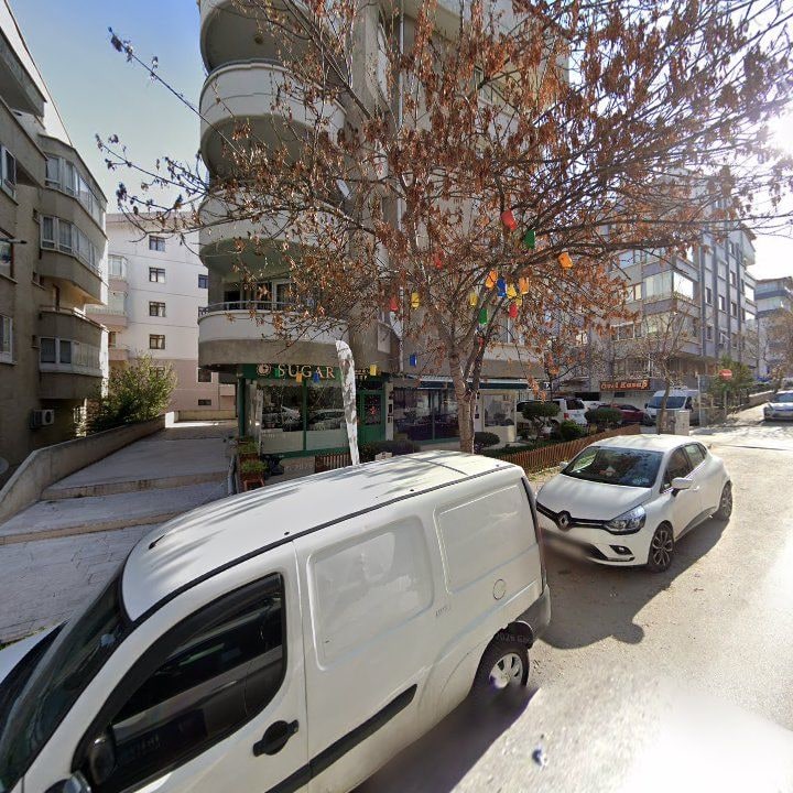 Fotoğraf 8