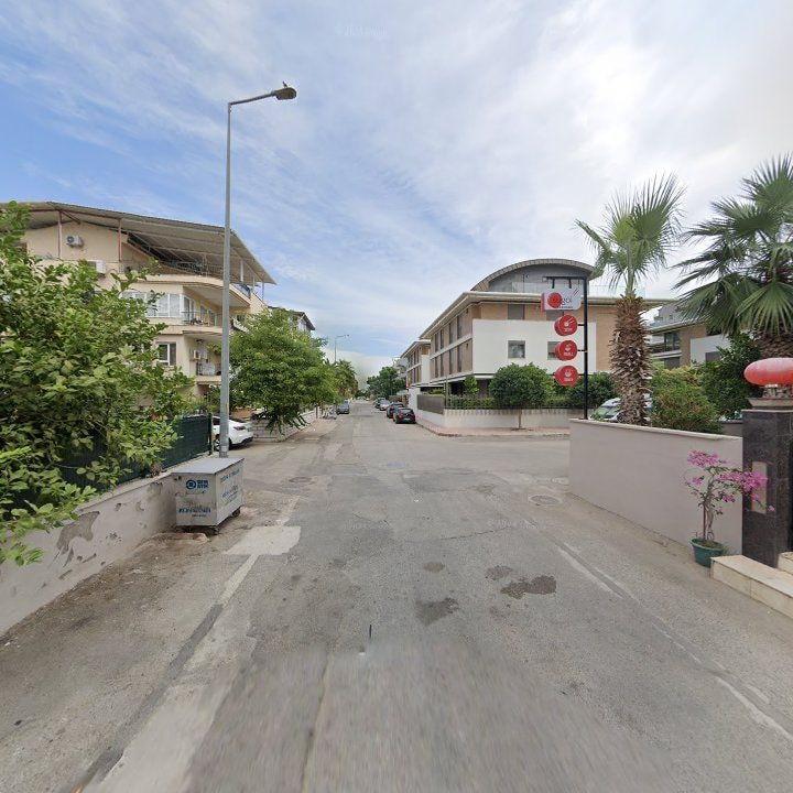 Fotoğraf 13
