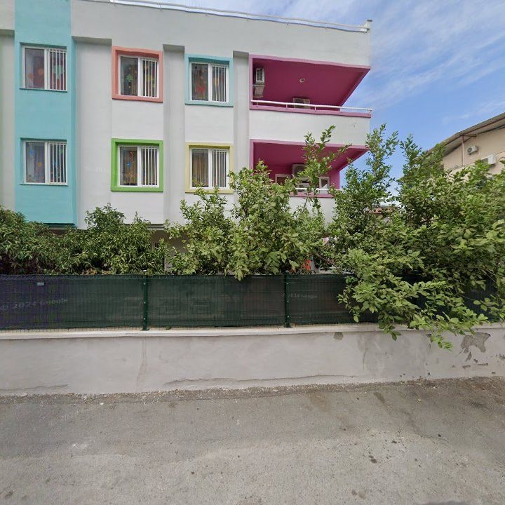 Fotoğraf 12