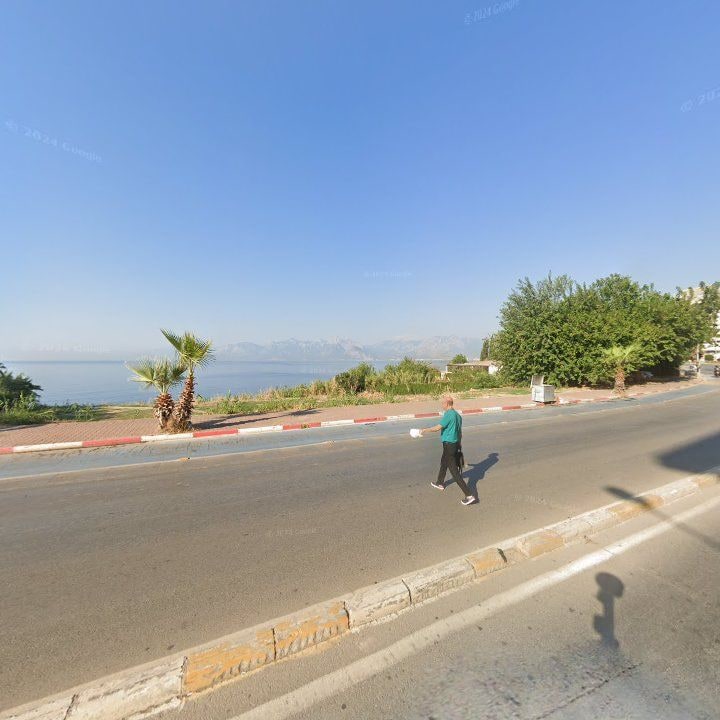 Fotoğraf 11