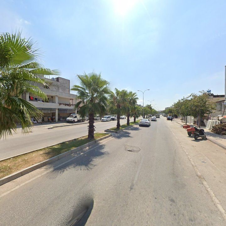 Fotoğraf 8