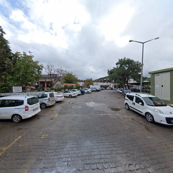 Fotoğraf 6