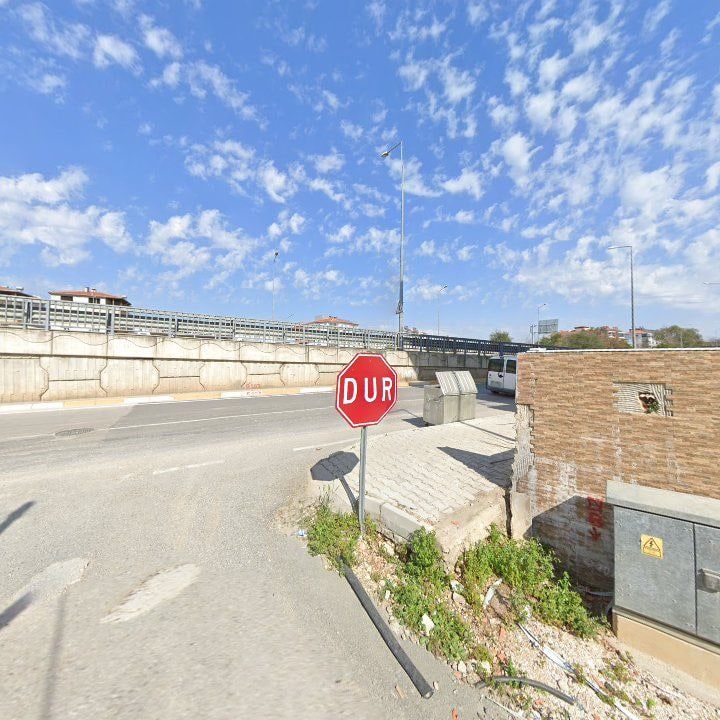 Fotoğraf 8