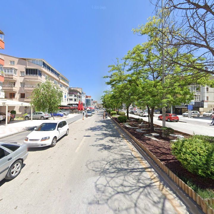 Fotoğraf 12