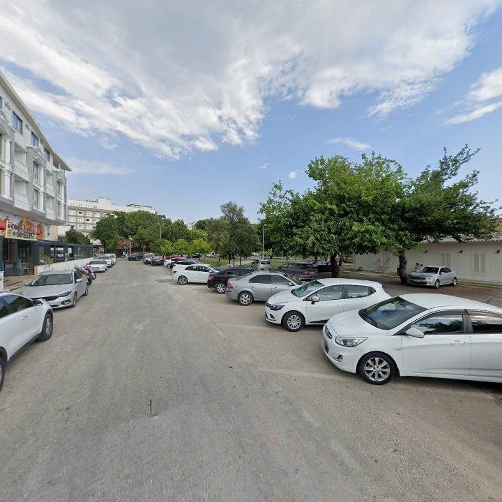 Fotoğraf 12