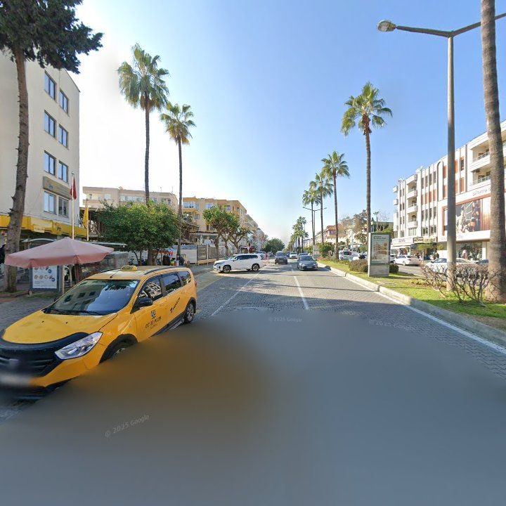 Fotoğraf 12