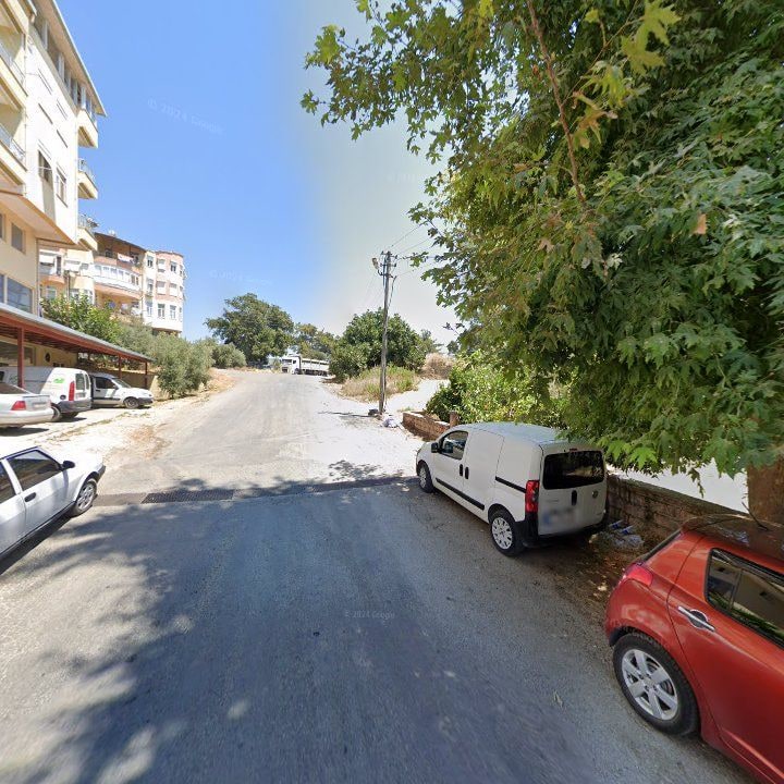 Fotoğraf 7