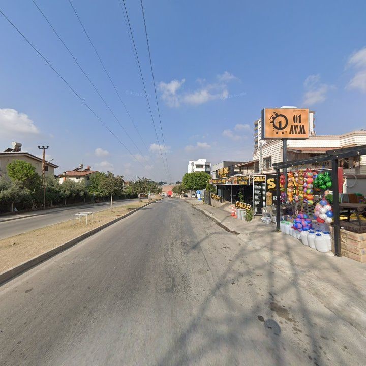 Fotoğraf 8
