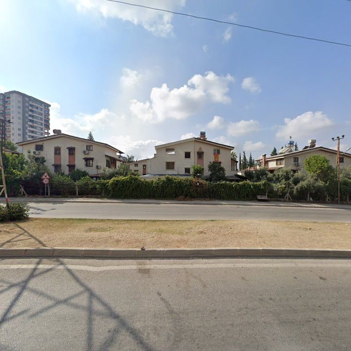 Fotoğraf 7