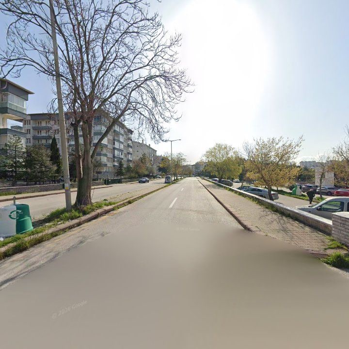 Fotoğraf 12